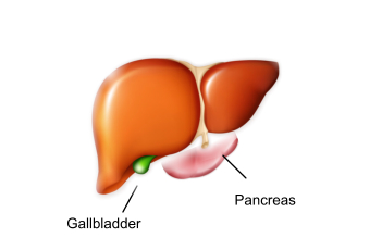 athens gi center - pancreas
